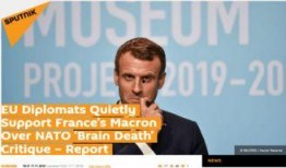 欧盟官员爆料新闻最新报道,最新报道揭示重大政治内幕